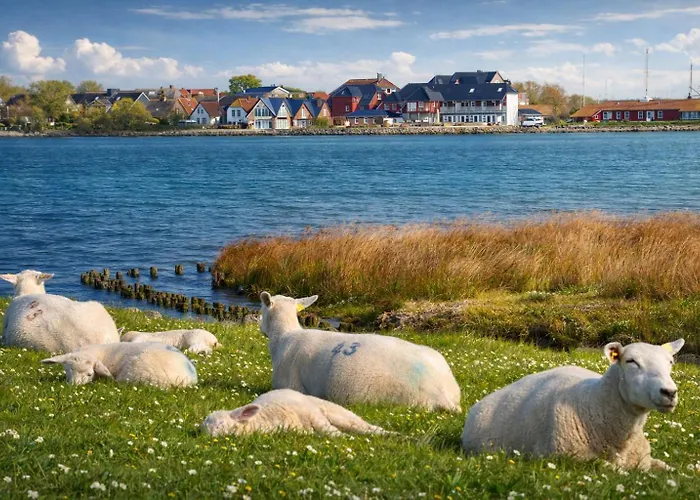 Lägenhet Lemkenhafen Lykke Fehmarn
